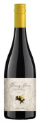 Babylon’s Peak Private cellar - Busy Bee Shiraz - Mourvedre - Viognier - 0.75L - 2022