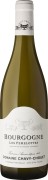 Domaine Chavy-Chouet - Bourgogne Les Femelottes  - 0.75L - 2022