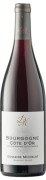 Domaine Michelot - Bourgogne Côte d’Or Pinot Noir - 0.75L - 2021