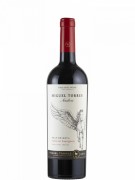 Miguel Torres - Andica Cabernet Sauvignon Gran Reserva - 0.75L - 2021