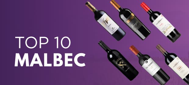 Top 10 Malbec wijnen