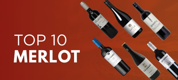 Top 10 Merlot wijnen